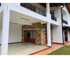 Brand new two story house for sale