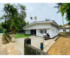 Single House For Rent In Panadura