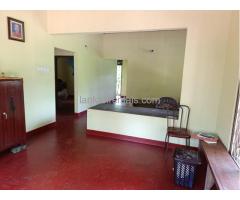 House for rent -35,000 Makevita Gampaha